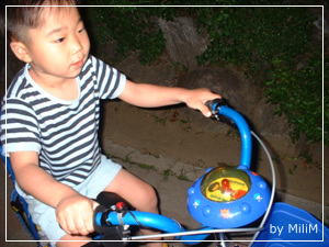 Bicycle 3