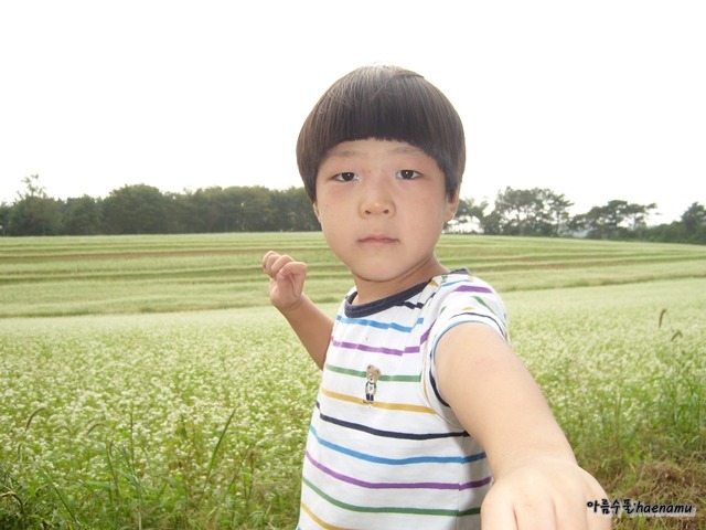 메밀꽃밭에서