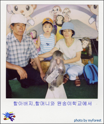 여름은 추억속으로