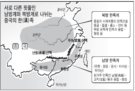 중국 한족, 단일 혈통 아니다