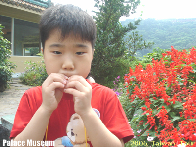 [2006 taipei]사루비아