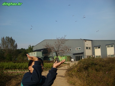 사용자 삽입 이미지